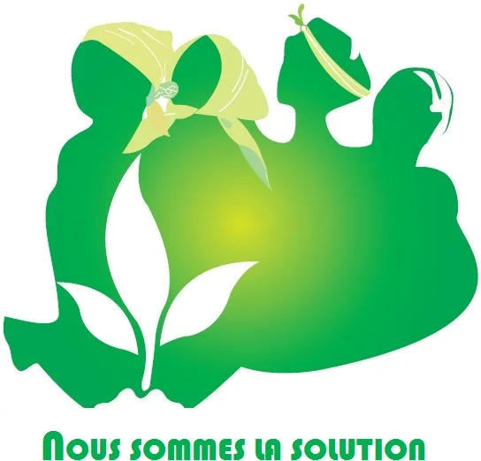 NSS/WAS Africa
