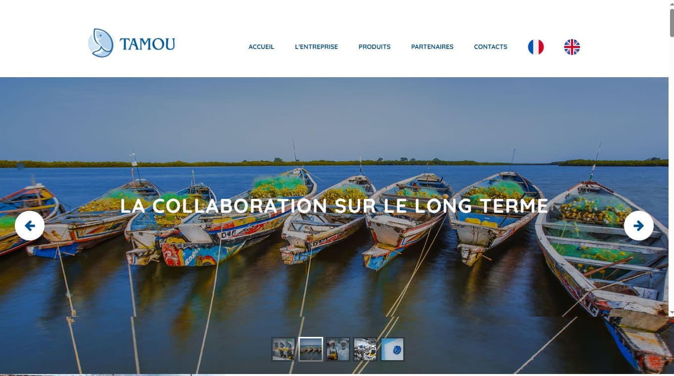 Aperçu du site Tamou Fishing International — Agroalimentaire · Pêche & export
