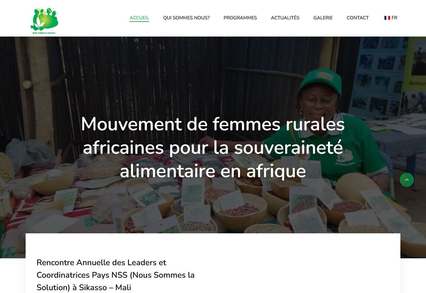 Aperçu du site WAS Africa — Association · ONG